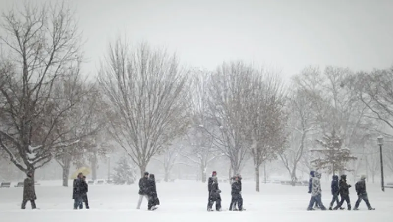 snowy-large.jpg snowy-large.jpg