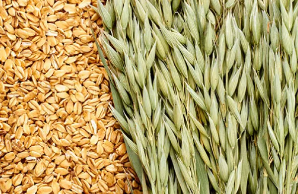 Oats