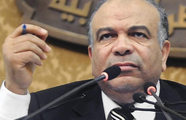 04-in-fea-egypt-saadal-katatni-large.jpg