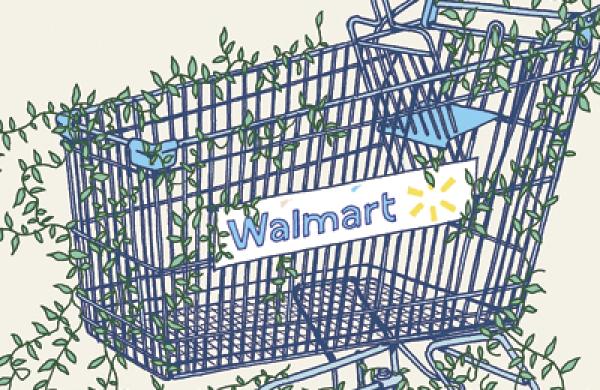 04-us-fea-wal-mart-opener-large.jpg
