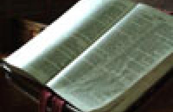 100x102bible.jpg
