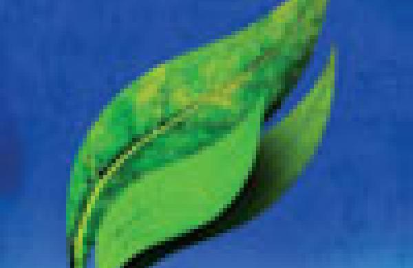 100x102coverus-eco.jpg