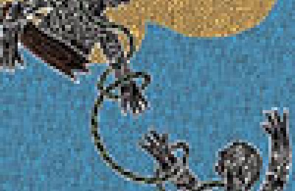 100x102insidethetrade.jpg