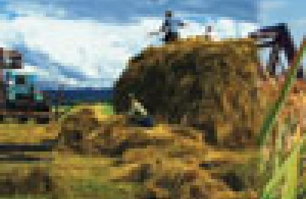 100x102russian-farming-opener.jpg