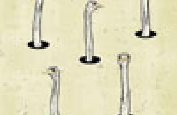 100x102thefivefigureheads.jpg
