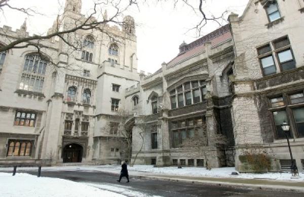 13-11-frances-denmark-endowments-sidebar-u-chicago-large.jpg