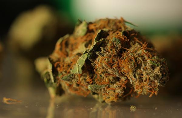 Pot Prices Double as Colorado Retailers Roll Out Green Carpet