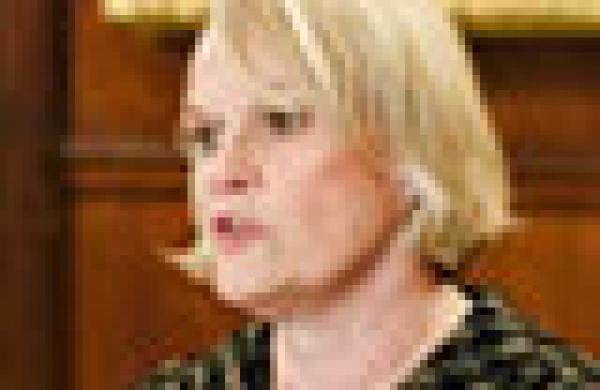 2014-07-fran-denmark-investor-roundtable-carol-mcfate-small.jpg