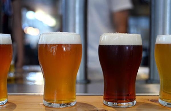 Inside The Little Creatures Craft Beer Brewery