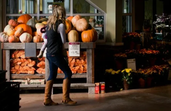 2014-11-da-pumpkins-thanksgiving-large.jpg
