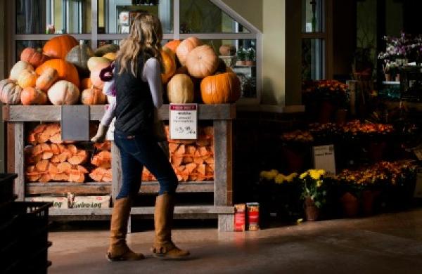 2014-11-da-pumpkins-thanksgiving-large.jpg