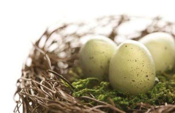 2015-01-uw-dalessio-retirement-nest-egg-large.jpg