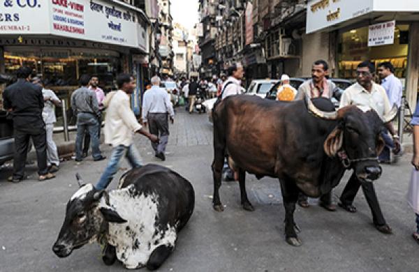 General Retail In And Around Crawford Market Ahead Of Union Budget