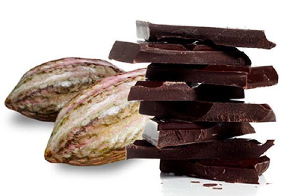 2015-04-matt-mossman-cocoa-large.jpg