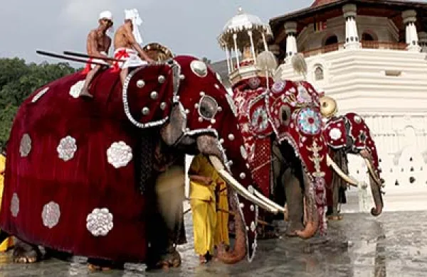 2015-08-da-kandy-esala-perahera-large.jpg