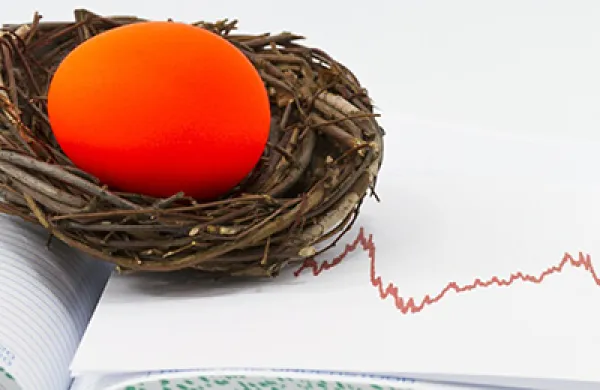 2015-08-gmtl-nt-pension-muni-bonds-nest-egg-large.jpg