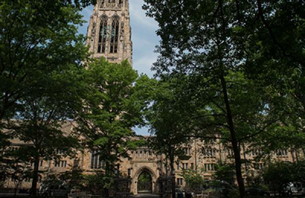 2015-09-uw-celia-dallas-endowments-yale-large.jpg