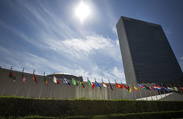 2015-09-vita-bekker-united-nations-sdgs-lg.jpg