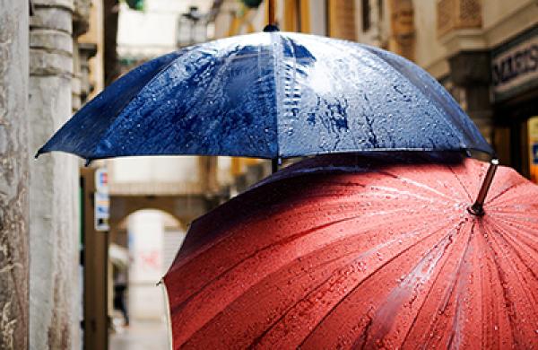 2015-10-ashby-monk-weekend-reading-umbrellas-large.jpg