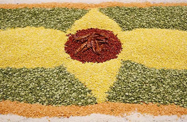 ECOSOC World Food Day Observance on the theme "Achieving food security in times of crisis."
