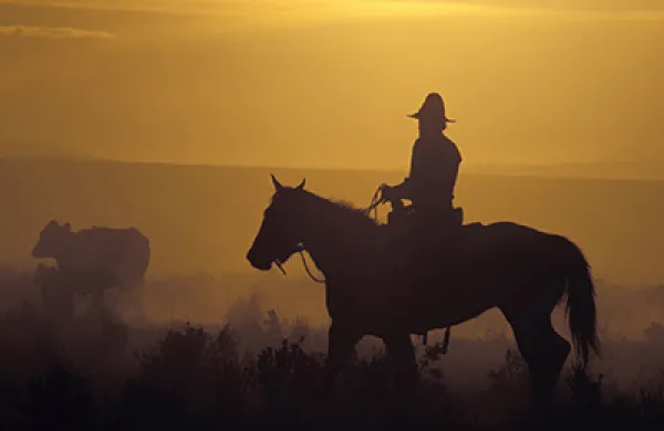 2015-10-yu-ming-wang-china-us-cowboy-large.jpg