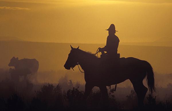 2015-10-yu-ming-wang-china-us-cowboy-large.jpg