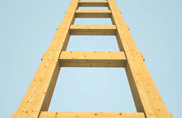 2015-11-ed-mccarthy-ria-interest-rate-hedge-bond-ladder-large.jpg