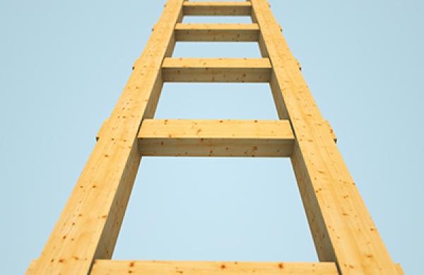 2015-11-ed-mccarthy-ria-interest-rate-hedge-bond-ladder-large.jpg