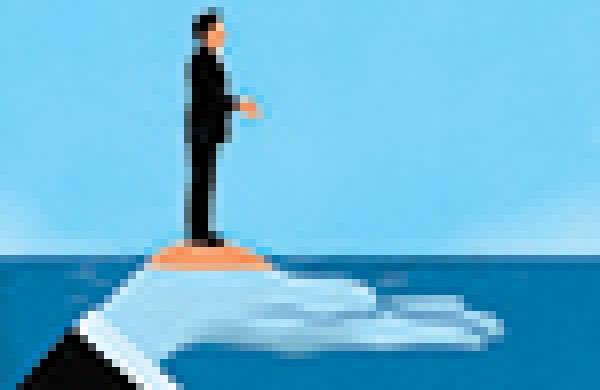 2015-11-mccann-in-focus-cayman-island-thumbnail.jpg
