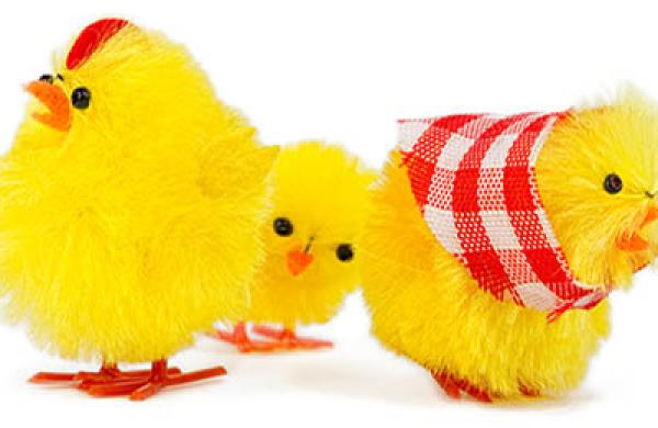 2015-12-beth-braverman-family-wealth-disputes-angry-chick-large.jpg