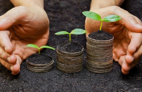 2015-12-carol-clouse-esg-investing-large.jpg