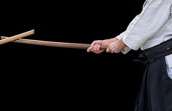 2016-03-ashby-monk-aikido-large.jpg