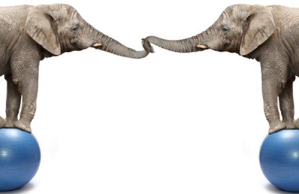 2016-03-gmtl-investec-africa-elephants-growth-debt-balance-large.jpg