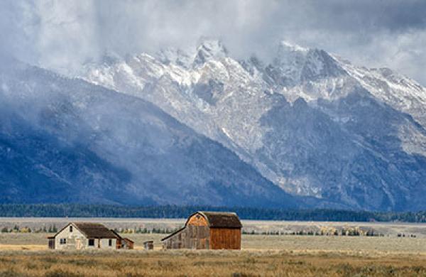 2016-05-frances-denmark-wyoming-large.jpg