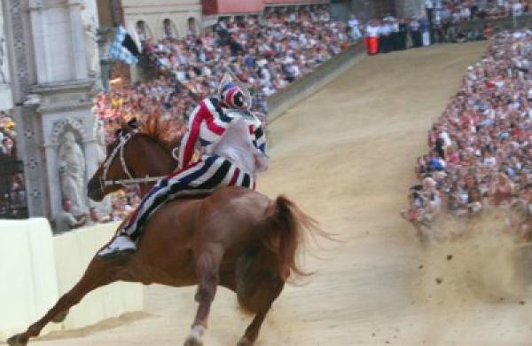 2016-06-da-palio-di-siena-large.jpg