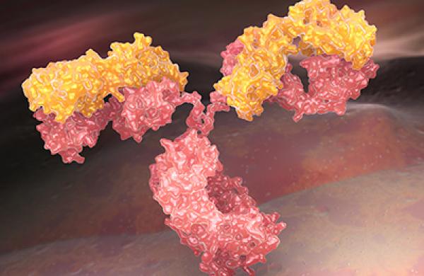 2016-06-kaitlin-ugolik-cancer-immunotherapy-lg.jpg
