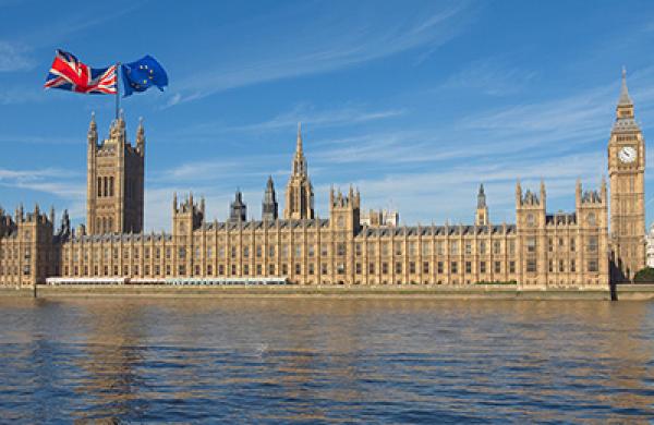 2016-06-tom-buerkle-brexit-london-lg.jpg