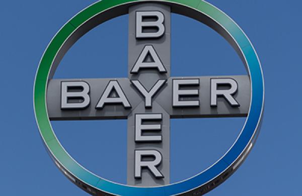 2016-07-20-da-bayer-large.jpg