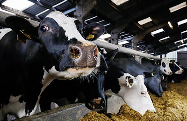 2017-06-joe-mcgrath-uk-milk-pension-fund-large.jpg