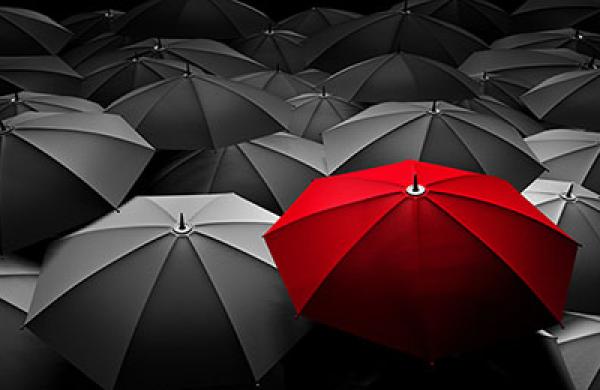2017-christopher-schelling-investors-discomfort-large.jpg