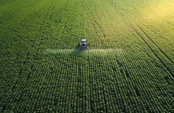 An Uncertain Crop Season