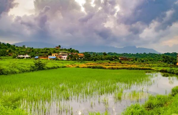 Countryside of Maharashtra in Peak Monsoon Season...