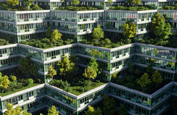 Roof garden