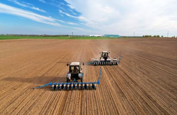 Tractor sowing seed on plowed field. Sowing seeds of corn and sunflower.