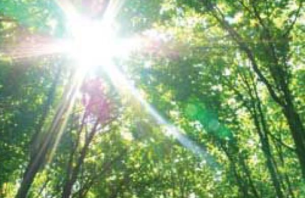 250x215-green-investing.jpg
