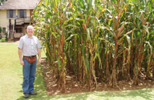 330x160-africafarmland.jpg