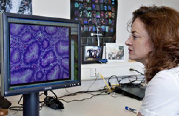 330x160-biomedicine.jpg