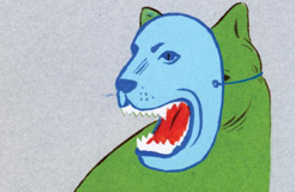 330x160-catlion.jpg