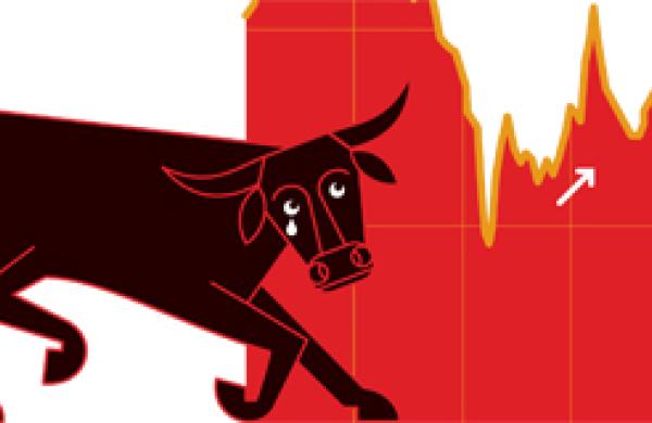330x160-crying-bull.jpg