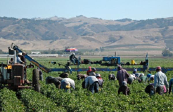 330x160-farmland.jpg